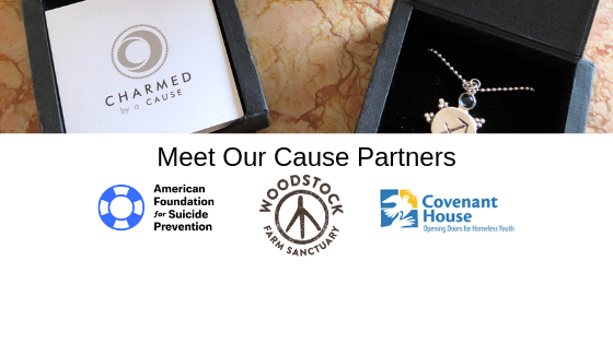 Non-Profits We Partner With