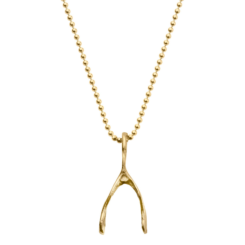 Diamond Wishbone Necklace – Marissa Collections
